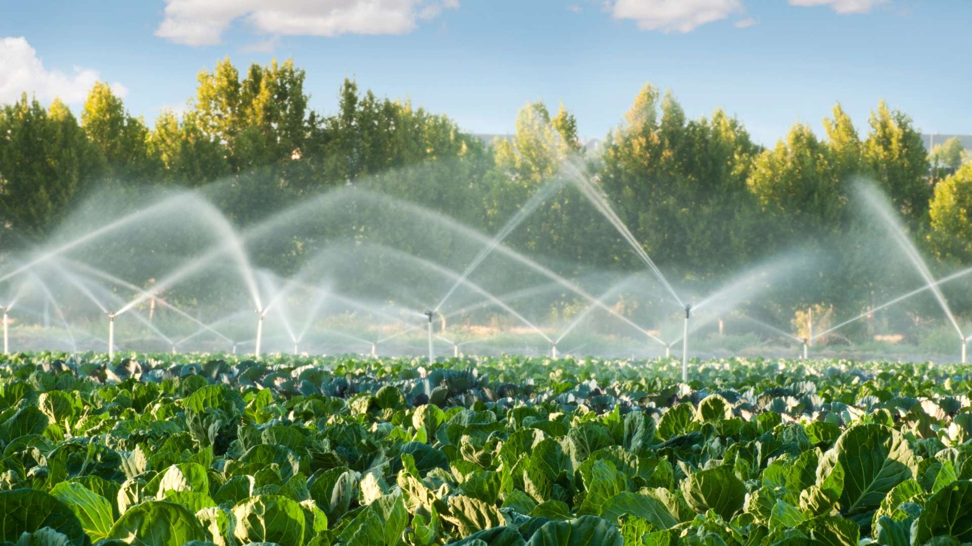 Professional Irrigation Services in Hudson Oaks, TX You Can Trust