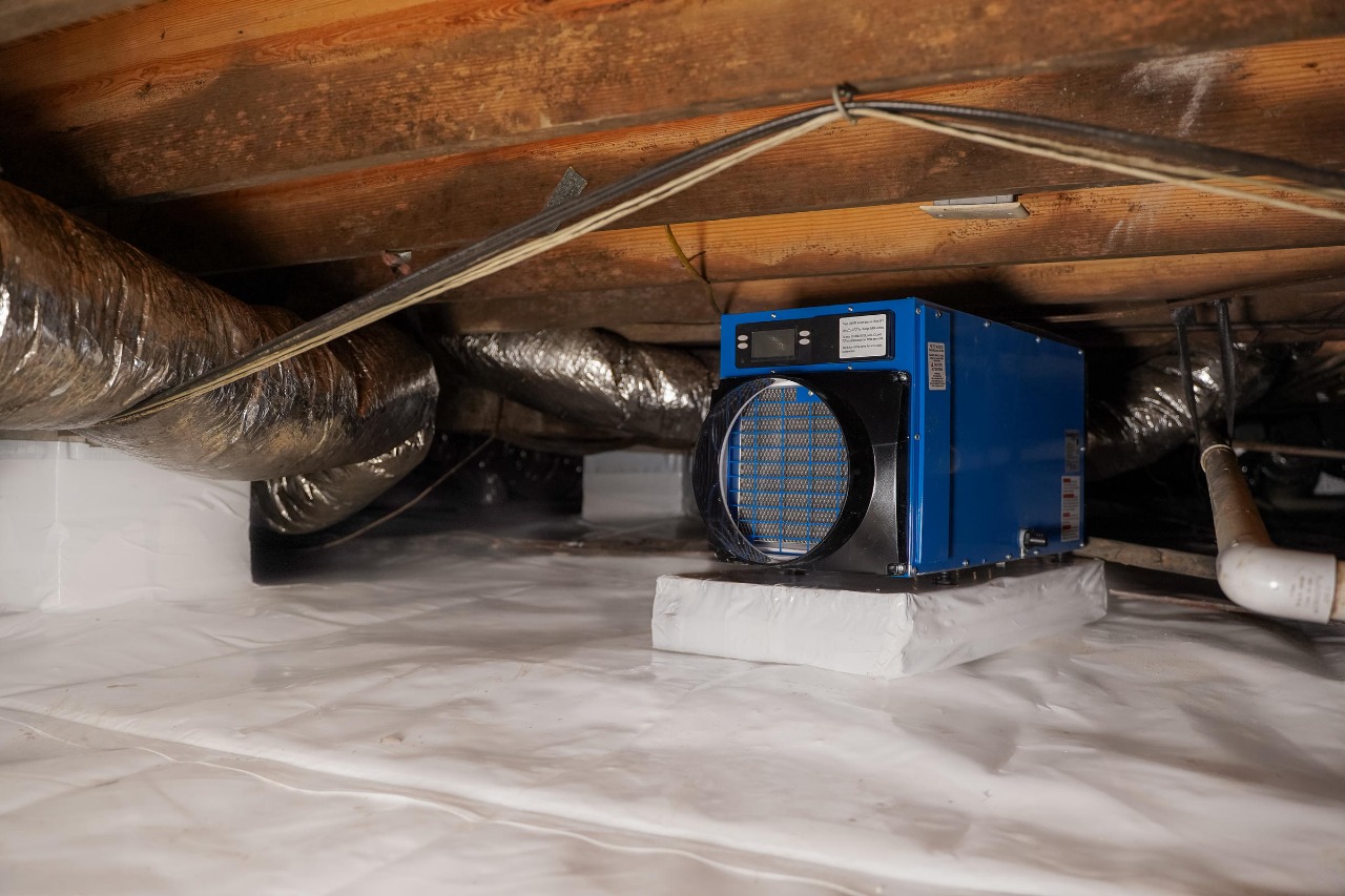 Professional Vapor Barrier Installation Experts Near You