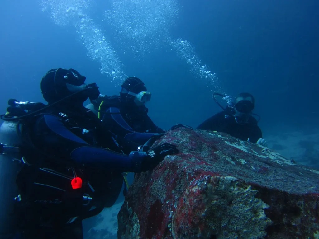 Coastal Training to Learn to Scuba Dive Northern Ireland