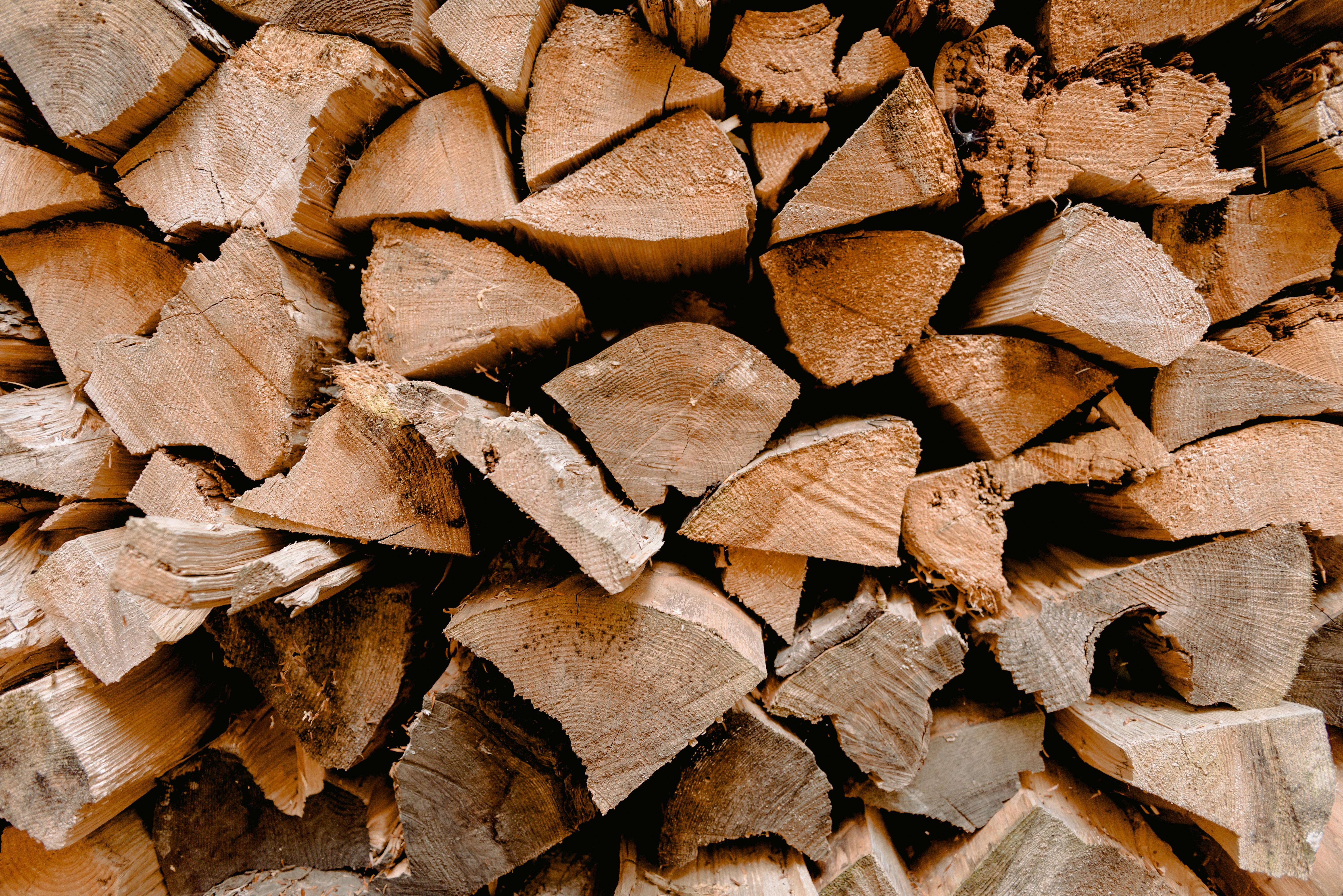 Olive Wood Firewood Italy: Premium Fuel for Efficient and Flavorful Heating