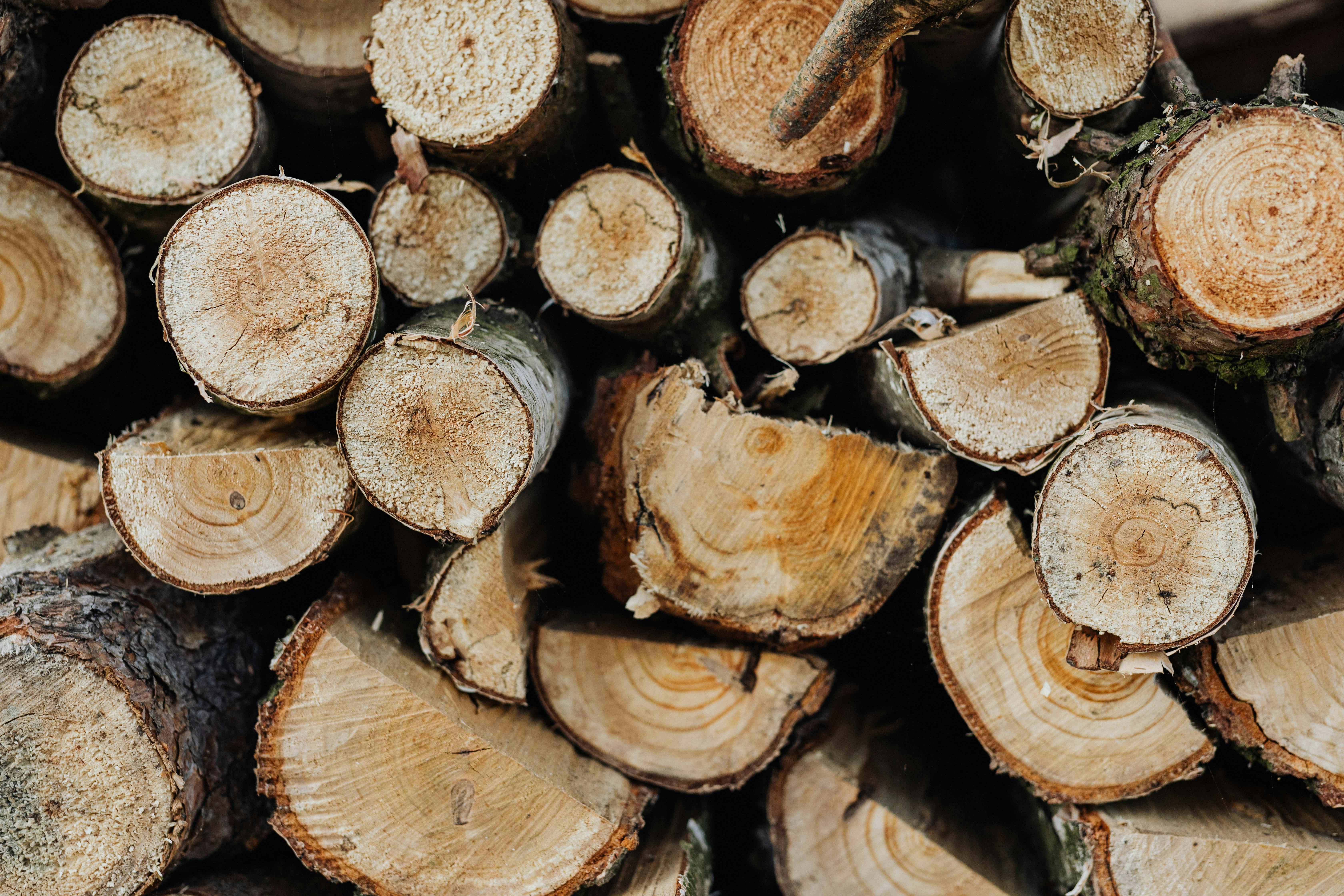 Sustainable Wood Briquette from Renewable Biomass