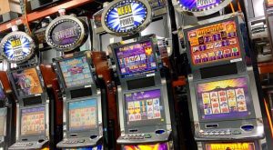 WhatsApp Image 2025-10-30 at 2.23.27 AM (18)