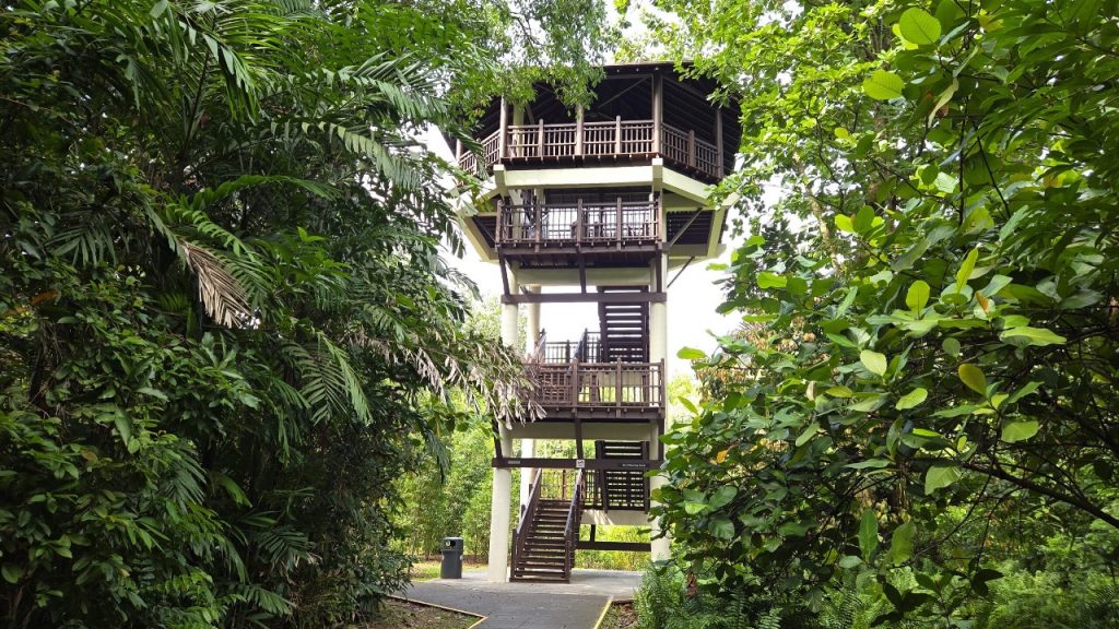 WhatsApp Image 2025-10-31 at 5.52.05 PM