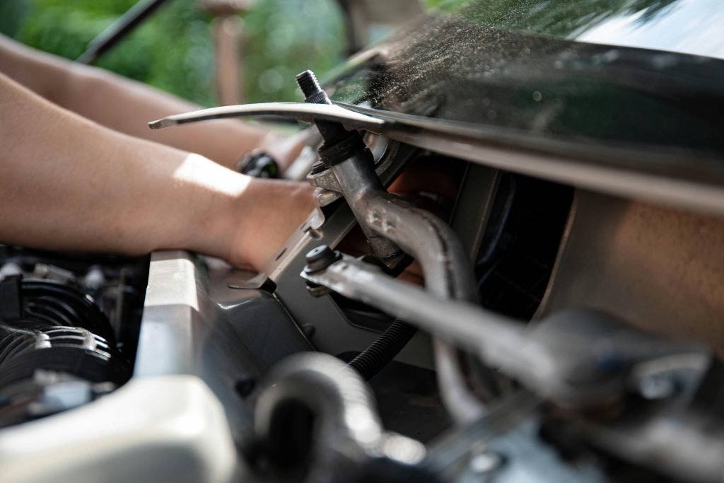 pexels-19x14-8478256