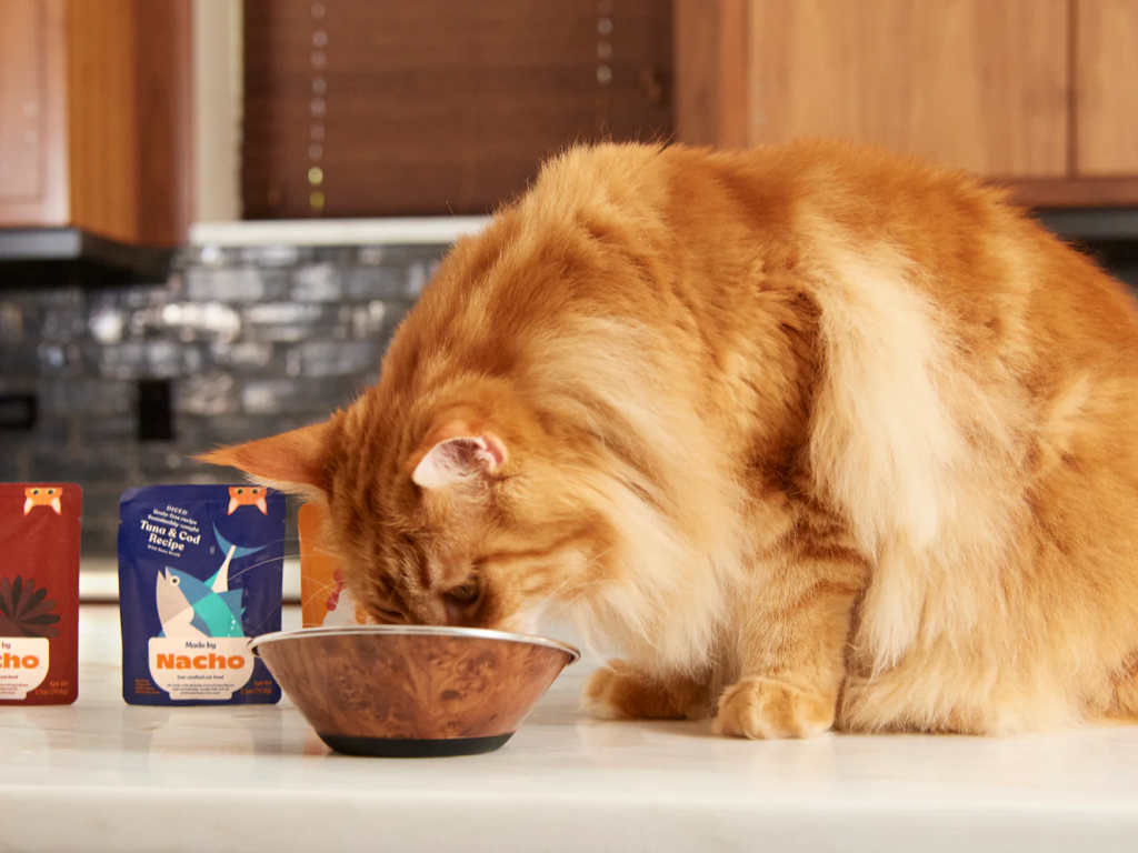 nacho cat food reviews