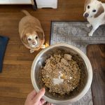 The Farmer’s Dog Price vs Regular Dog Food: Which Is Worth It?