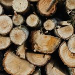 Sustainable Wood Briquette from Renewable Biomass