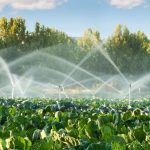 Professional Irrigation Services in Hudson Oaks, TX You Can Trust