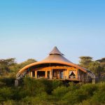 Explore the Best of East Africa on a Kenya Tanzania Safari