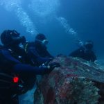 Coastal Training to Learn to Scuba Dive Northern Ireland